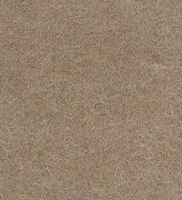 Camel 106