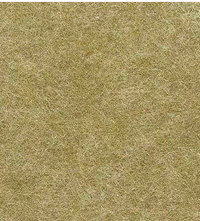 Caraway Seeds 186