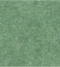 Golf 171