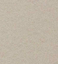 Sand Dollar 107