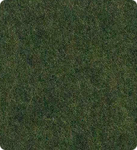 Sea Weed Green 189